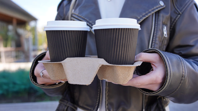 Paper Pulp Two Cup Carry Tray